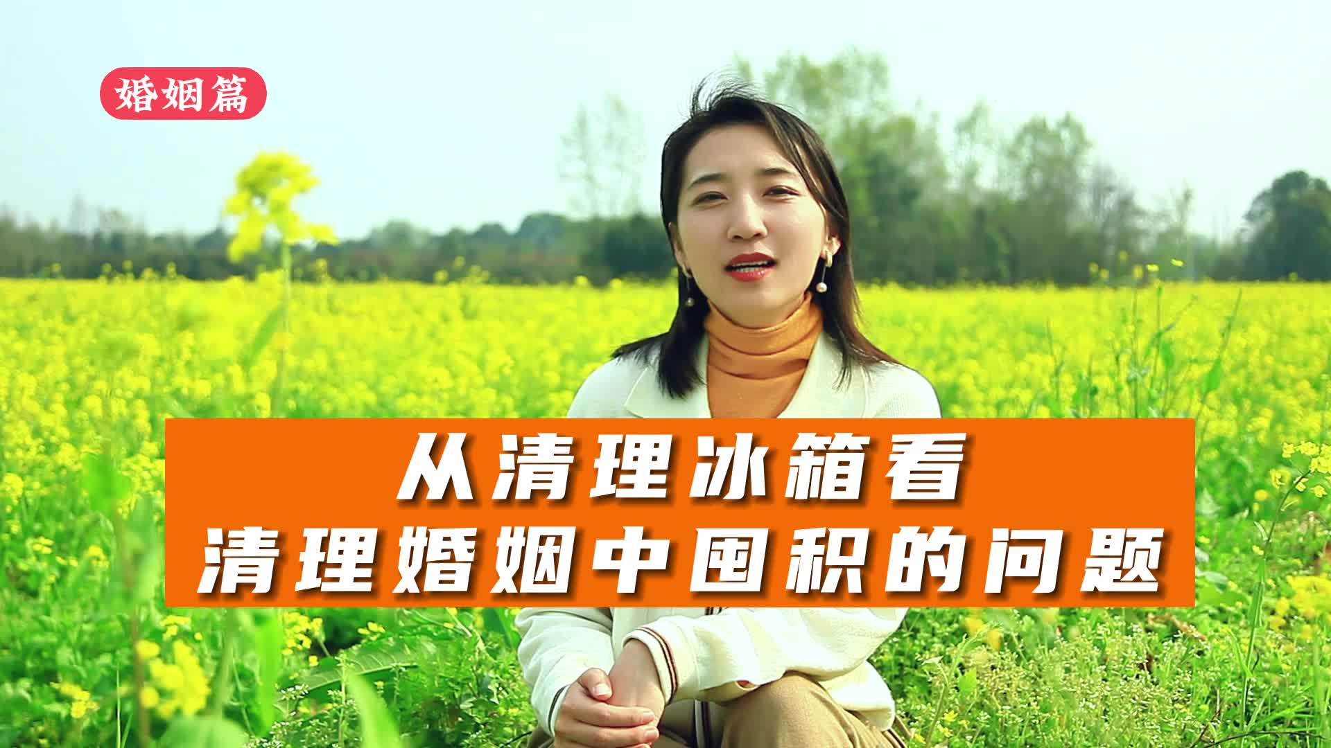 从清理冰箱来看关系中的囤积